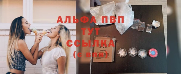 прущие грибы Аркадак