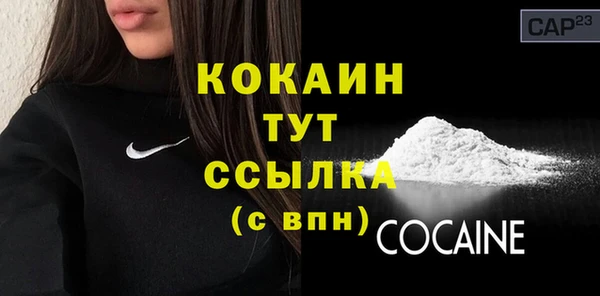 прущие грибы Аркадак