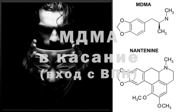 прущие грибы Аркадак
