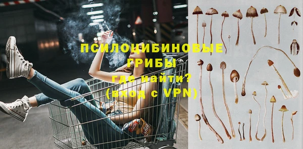 ГАЛЛЮЦИНОГЕННЫЕ ГРИБЫ Новозыбков