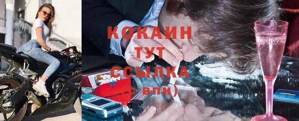 прущие грибы Аркадак