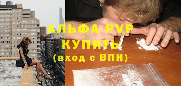 прущие грибы Аркадак