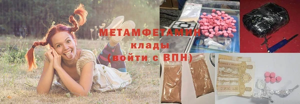 прущие грибы Аркадак